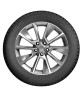 Nokian Tyres (Ikon) Nordman 7 SUV 255/60 R17 110T (XL) заказать