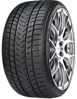 Gripmax SureGrip Pro Winter 225/45 R19 96V (XL)